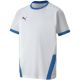 4. Puma teamGOAL 23 Trikot Jr 704160 12