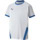2. Puma teamGOAL 23 Trikot Jr 704160 12