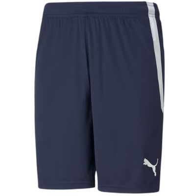 4. Puma teamLIGA M 704924 06 Shorts