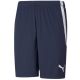 4. Puma teamLIGA M 704924 06 Shorts