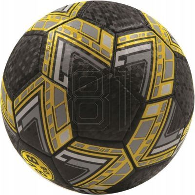 4. Offiziell lizenzierter Fußball von Borussia Dortmund, 4004241
