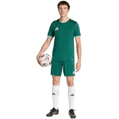 8. adidas Entrada 26 Herren-Trikot grün KE9832