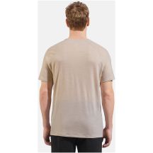 Herren-Kurzarmshirt ODLO Ascent PW 130 Run. Bike. Hike. T-Shirt Crew Neck s/s, grau