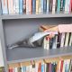 11. Black & Decker NVC215W Tragbarer Staubsauger, beutellos, Blau, Grau