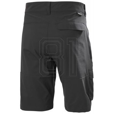 4. Helly Hansen Maridalen Shorts M 62851 981