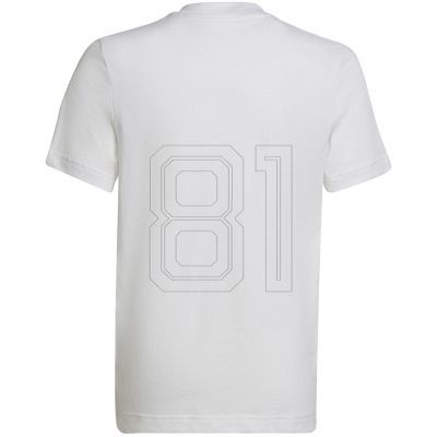 2. adidas Entrada 22 Tee Jr HC0447