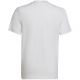2. adidas Entrada 22 Tee Jr HC0447