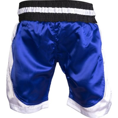 8. TOP TEN Kick Light Shorts (WAKO-GENEHMIGT)