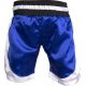 8. TOP TEN Kick Light Shorts (WAKO-GENEHMIGT)