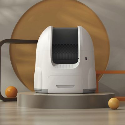 191. THORN+FIT Gusseisenbeschichtete Kettlebell 6kg