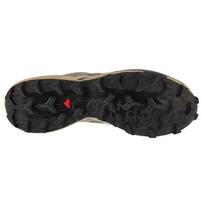4. Salomon Speedcross 6 GTX L47853400 Grau 42