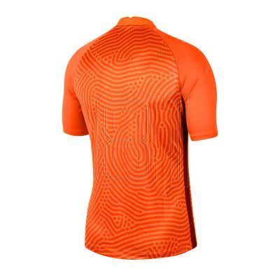 2. Nike Gardien III GK M BV6714-803 Torwarttrikot