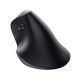 14. Trust Vyran Universal-Rechtshändermaus, kabellos (RF) + Bluetooth, optisch, 4800 DPI