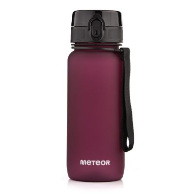 Meteor Flasche 650 ml 17660 Burgund