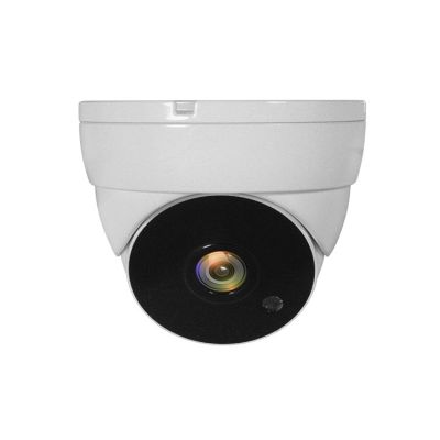 2. LevelOne ACS-5302 Dome-Überwachungskamera für den Innen- und Außenbereich (Deckenmontage)