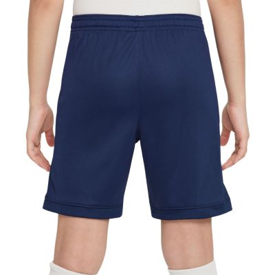 9. Nike Dri Fit Academy 25 Jr Shorts FZ9784 410