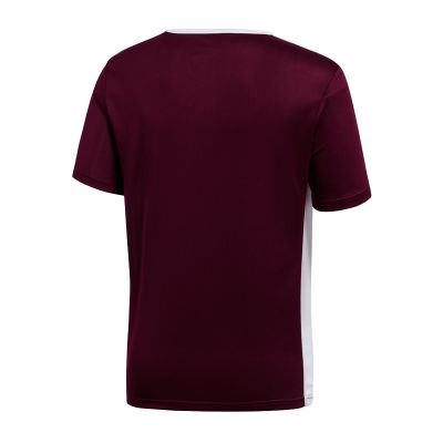 4. adidas Entrada 18 Jr T-Shirt CE9564