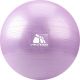 Meteor Fitnessball 65 cm Lila 31173
