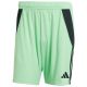 adidas Tiro 24 M JI6092 shorts