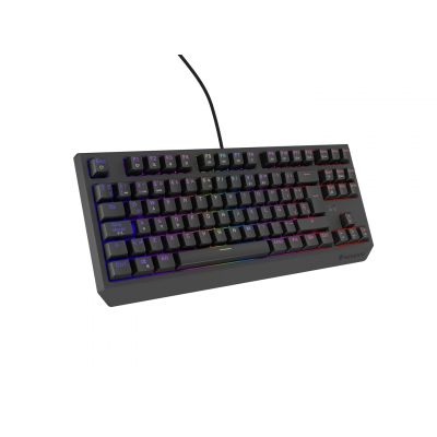 16. GENESIS Thor 230 TKL Gaming-Tastatur USB QWERTY Spanisch Schwarz