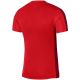 4. Nike DF Academy 23 SS M DR1336 657 T-Shirt