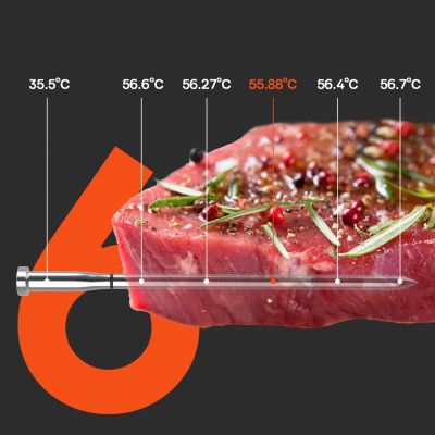 3. Meatmeet S Pro Küchenthermometer mit Bluetooth-App für Grill, Backofen, Smoker – Grau