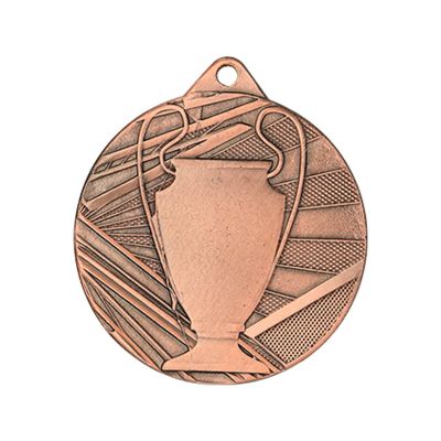 2. Bronzemedaille insgesamt mit Pokal