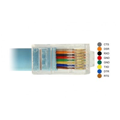 3. DeLOCK 63914 Parallelkabel Blau 3m USB Typ-C RJ45