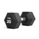 tiguar HEX Hantel 20 kg