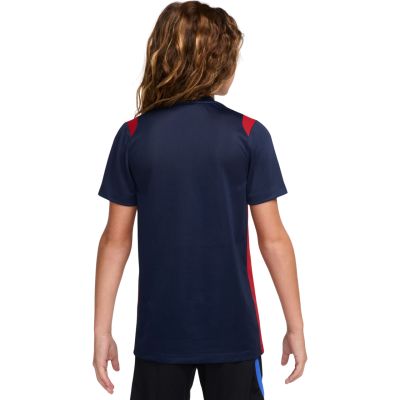 2. Nike Paris Saint-Germain Academy Pro Kinder-T-Shirt Marineblau II1664 410