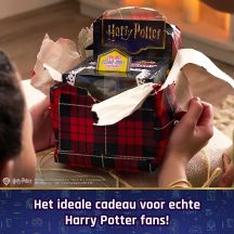 Interaktives Harry Potter Bitzee