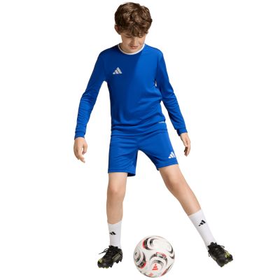 8. adidas Entrada 26 Long Sleeve Jersey Kindertrikot, blau, KF5886