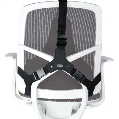 4. Fellowes Ergonomics Professional Rückenstützkissen