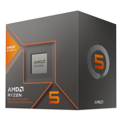 2. AMD Ryzen 5 8600G Prozessor