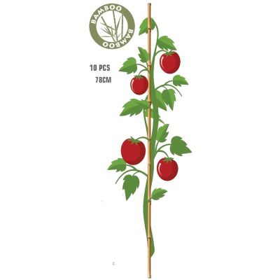 2. PROGARDEN Bambus-Pflanzenstütze 78 cm 10 Stück