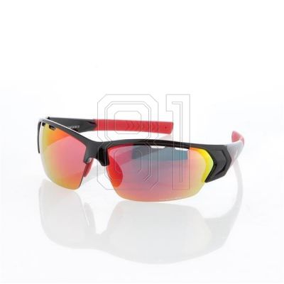 6. GOGGLE-SONNENBRILLE FW12 T428-2