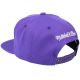 4. Mitchell & Ness NBA Los Angeles Lakers Top Spot Snapback Hwc Lakers Cap HHSS3256-LALYYPPPPURP