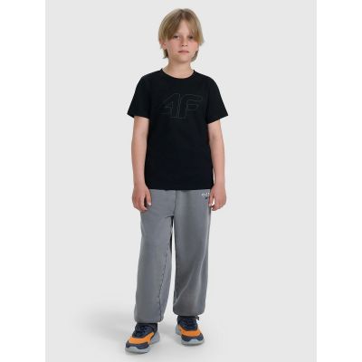 2. Normales bedrucktes Jungen-T-Shirt 4F 4FJRMM00TTSHM3255-20S