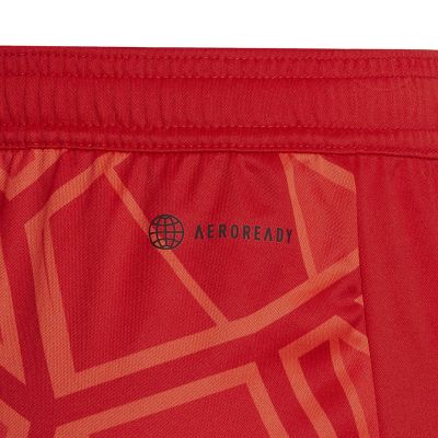 4. adidas Condivo 22 Kinder Torwartshorts rot H21243