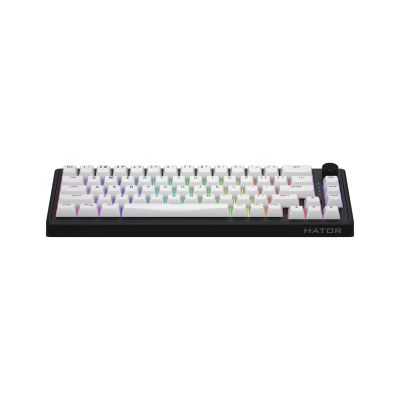 10. HATOR Skyfall 65 MAG ULTRA 8K Gaming-Tastatur USB QWERTY US Englisch Schwarz, Weiß