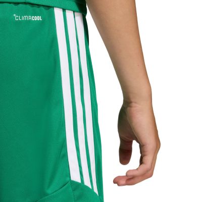 13. adidas Tiro 26 League Kindershorts Grün KA8812