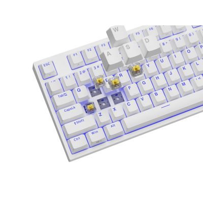 10. GENESIS Thor 404 TKL Gaming-Tastatur USB QWERTY Amerikanisches/Internationales Weiß