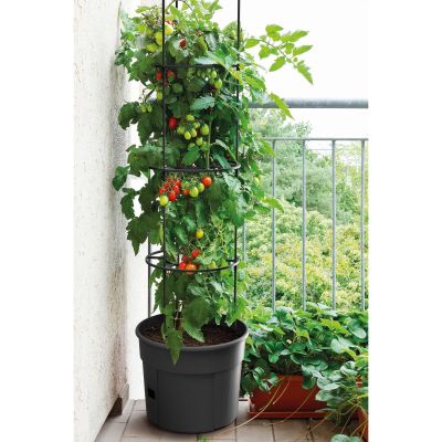 24. Tomatenpflanztopf mit Leiter, Fassungsvermögen 12 l