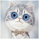 8. Nimmy Big Eyed Pet 2.0 Katzenhülle für iPhone 17 - Grau