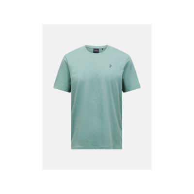 PEAK PERFORMANCE M Explore Grafik-T-Shirt, grün