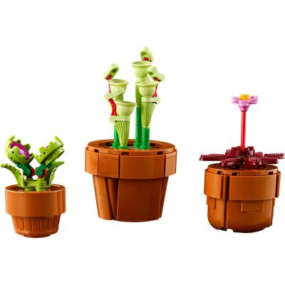 6. LEGO Icons 10329 - Kleine Pflanzen