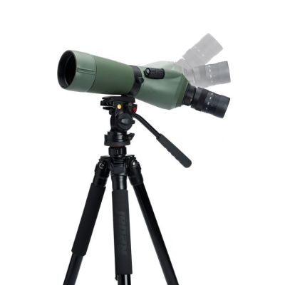 8. Celestron Regal M2 65ED Teleskop 48x BaK-4 Schwarz, Grün