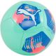 Puma Big Cat ball 84214 13