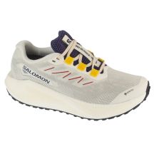 Salomon Aero Blaze 3 Grvl GTX W L47974100 Grau 38