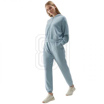 5. Sweatshirt 4F F1002 W 4FWSS24TSWSF1002 34S
